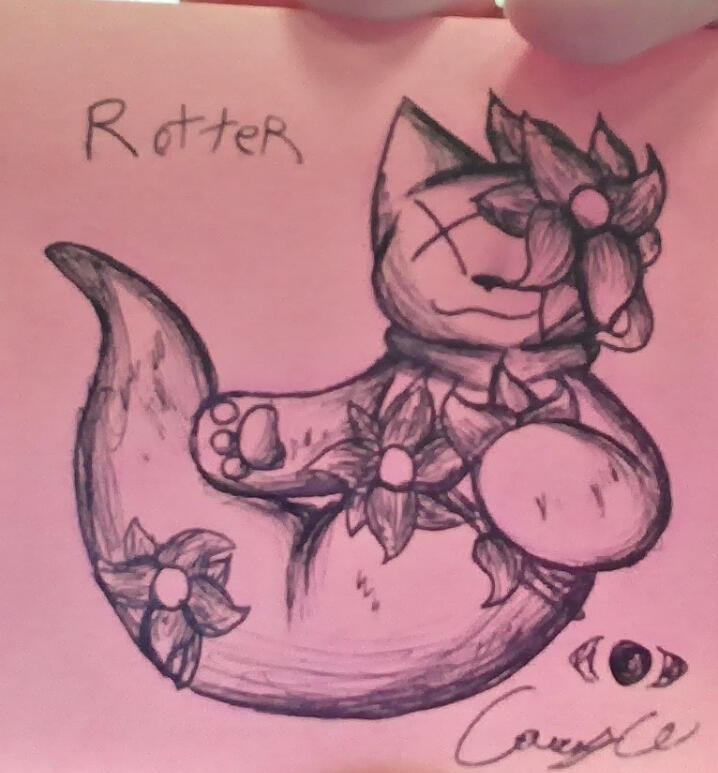 First image of Rotter. Date: Jan 28th, 2025
